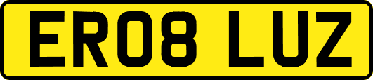 ER08LUZ