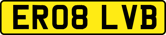 ER08LVB