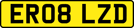 ER08LZD