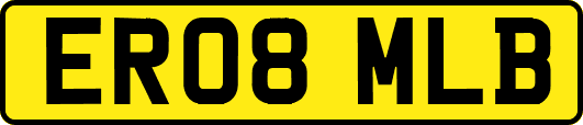 ER08MLB