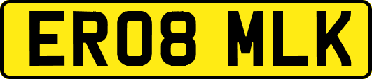 ER08MLK