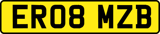 ER08MZB
