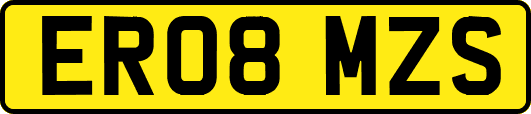 ER08MZS