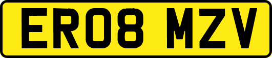 ER08MZV