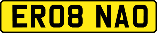 ER08NAO