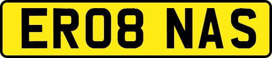 ER08NAS