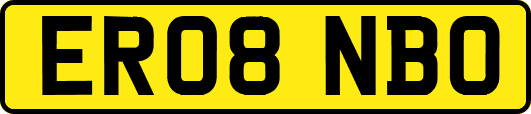 ER08NBO
