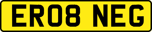 ER08NEG