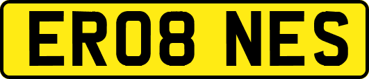 ER08NES