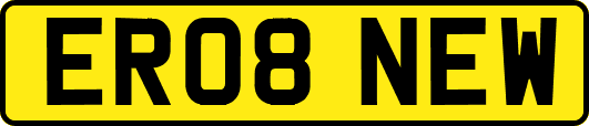 ER08NEW