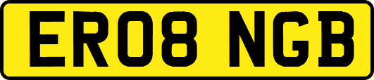 ER08NGB