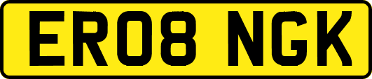 ER08NGK