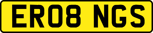 ER08NGS
