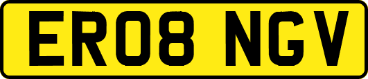ER08NGV