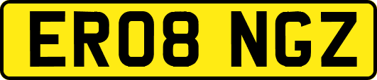 ER08NGZ