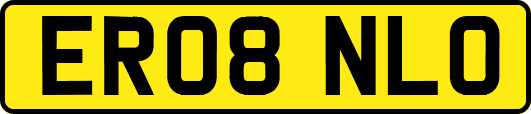 ER08NLO