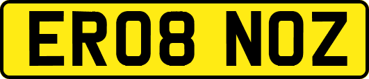ER08NOZ