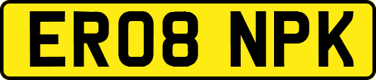 ER08NPK