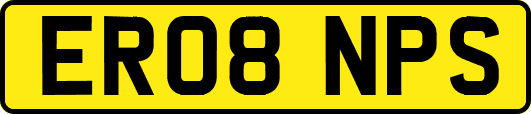 ER08NPS