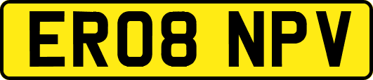 ER08NPV