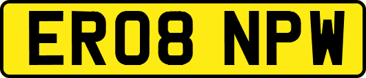 ER08NPW