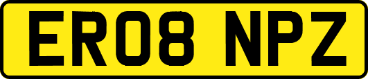 ER08NPZ