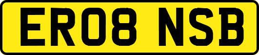 ER08NSB