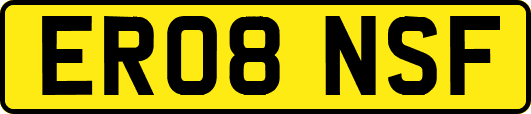 ER08NSF