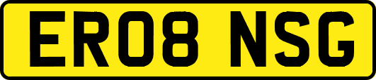 ER08NSG