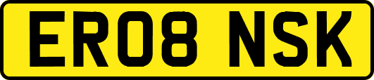 ER08NSK