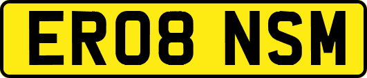 ER08NSM