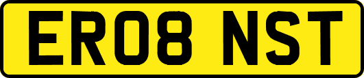 ER08NST