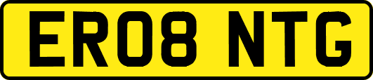 ER08NTG