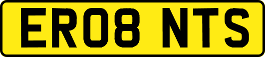 ER08NTS