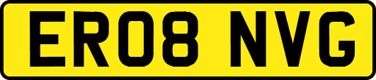 ER08NVG