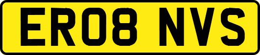ER08NVS