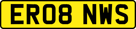 ER08NWS