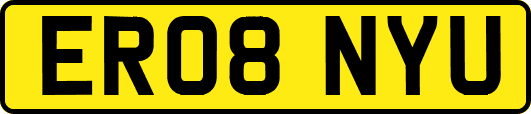 ER08NYU