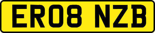 ER08NZB