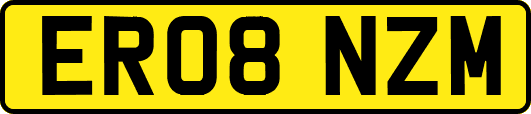 ER08NZM