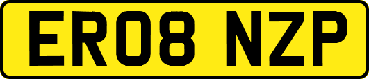 ER08NZP