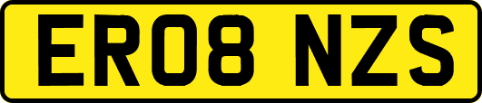 ER08NZS