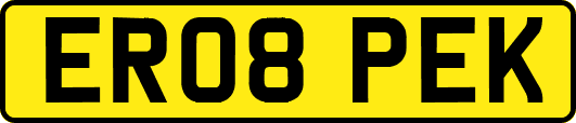 ER08PEK