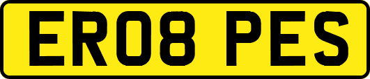 ER08PES