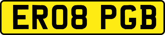 ER08PGB