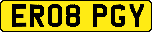 ER08PGY