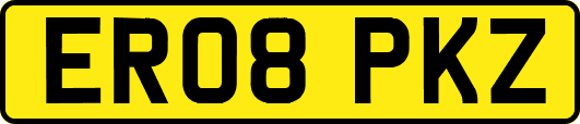 ER08PKZ