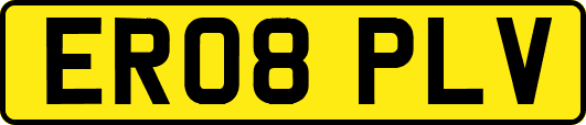 ER08PLV