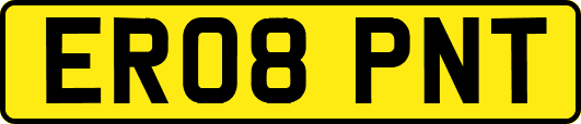 ER08PNT