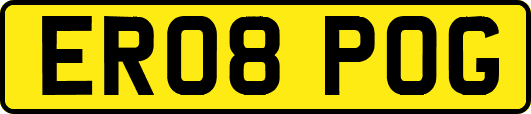 ER08POG